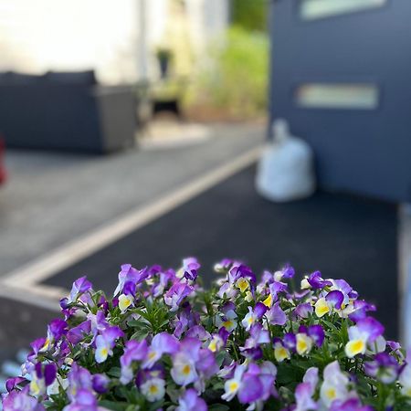 Ihana Asunto - The Nest With Sauna In Vaasa Leilighet Eksteriør bilde